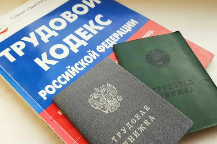 План мероприятий противодействия нелегальной занятости на 2025 - 2027 годы.